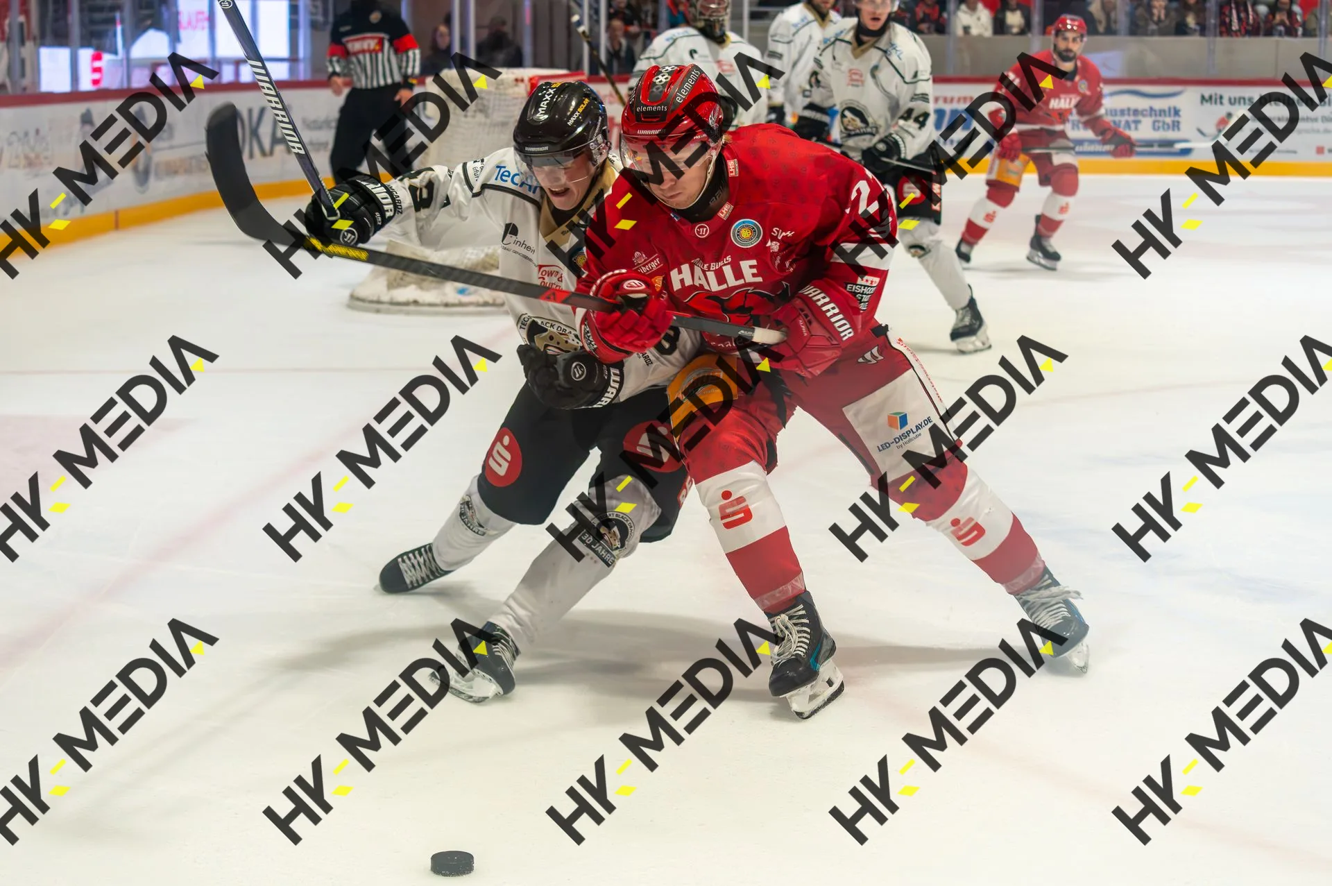 Eishockey – Aufnahme 110 von HK-Media