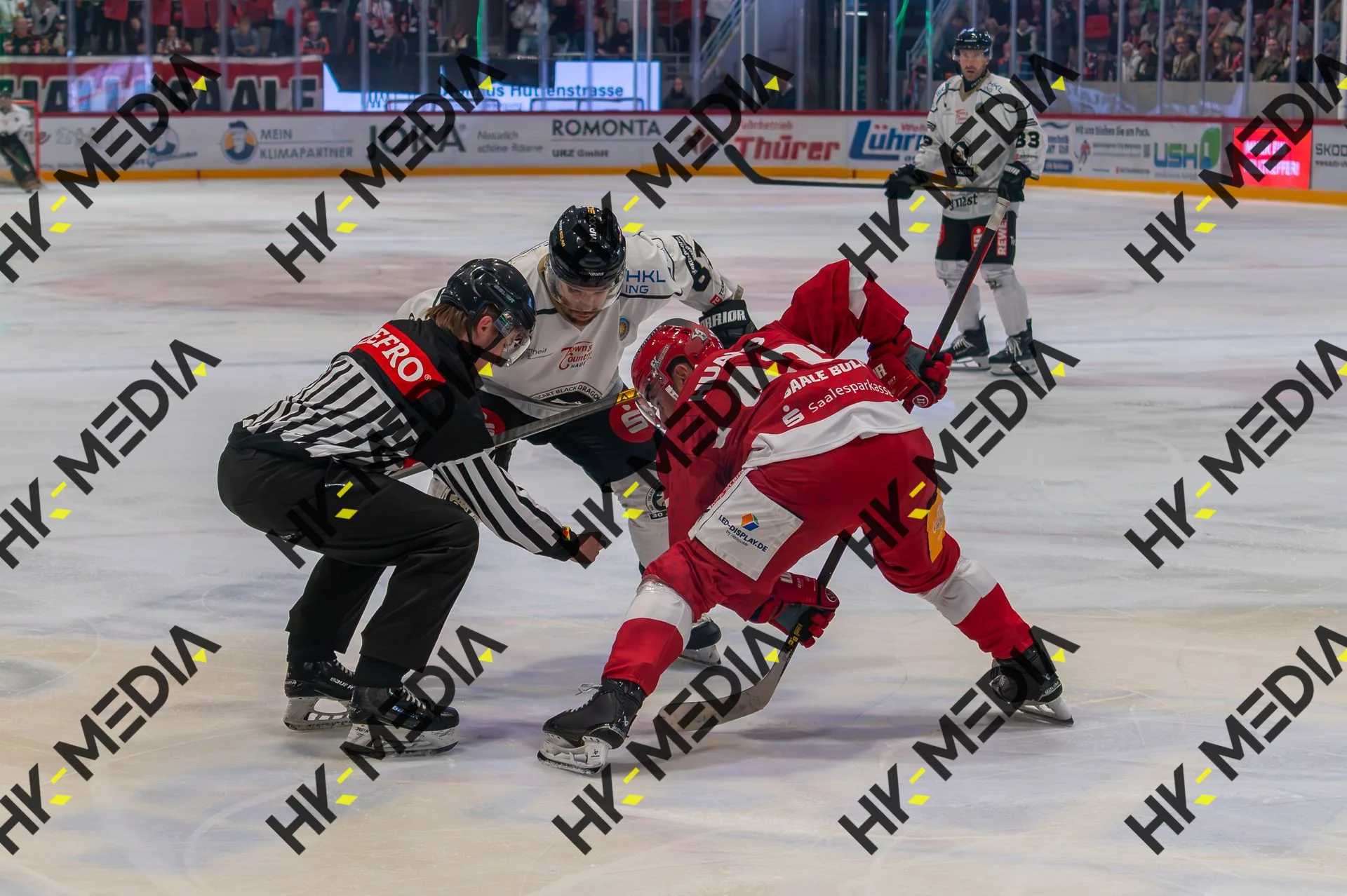 Eishockey – Aufnahme 92 von HK-Media